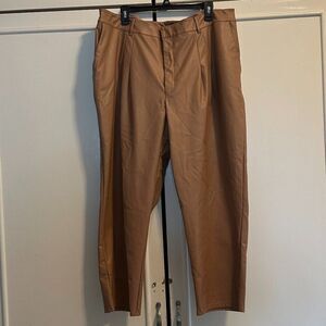 Express Leather Pants